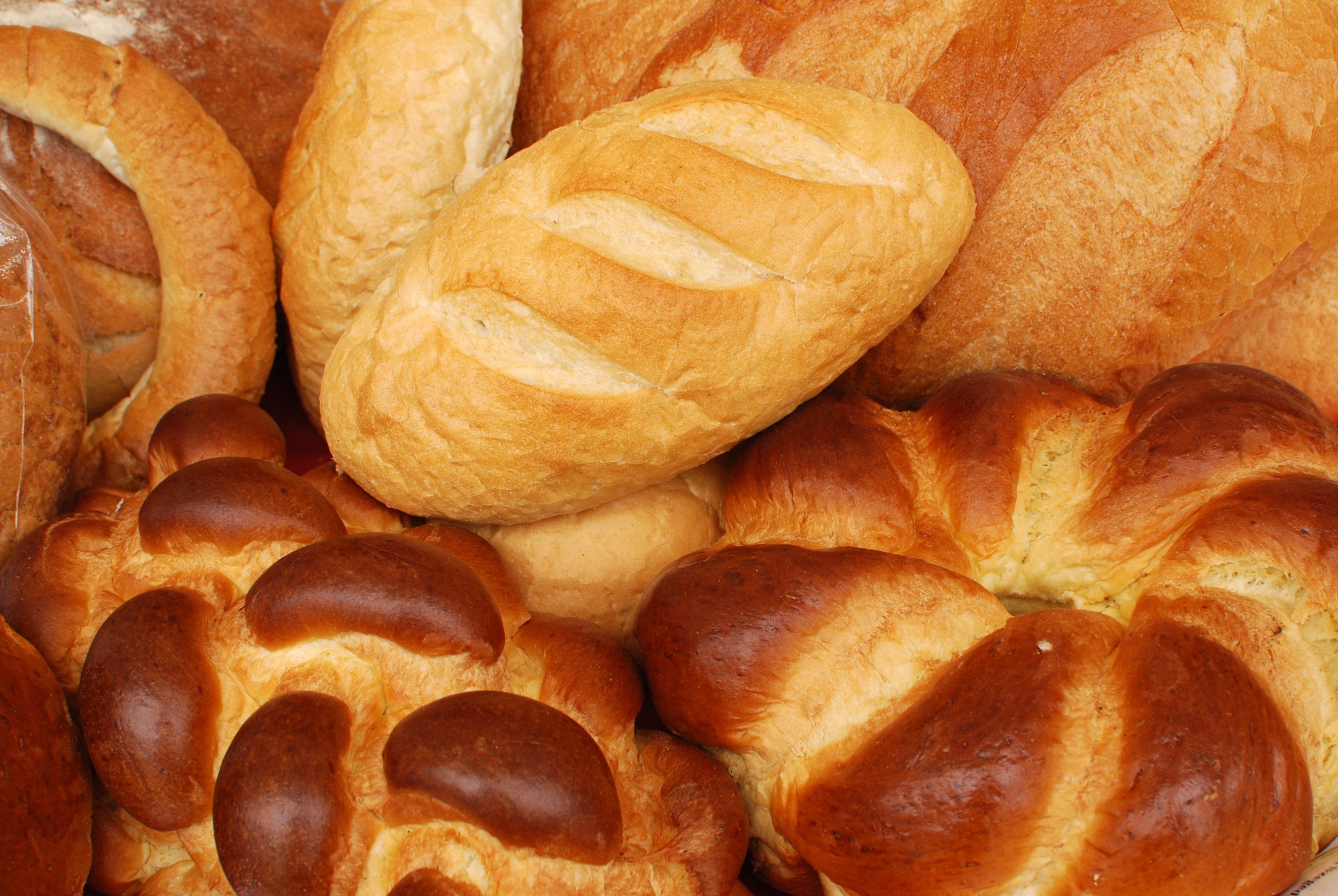 Loaves of fresh baked bread of all types 