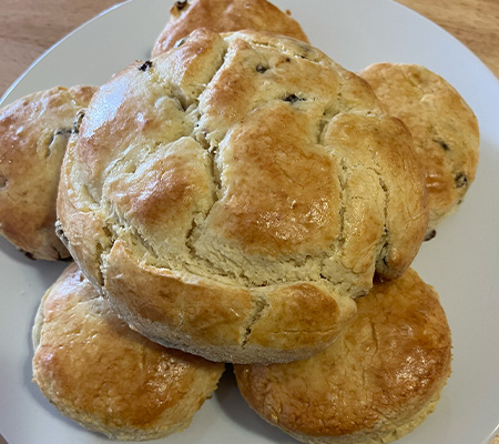 BIH Traditional English Scone One Large Scone