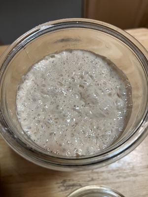 Sourdough Starter Top View