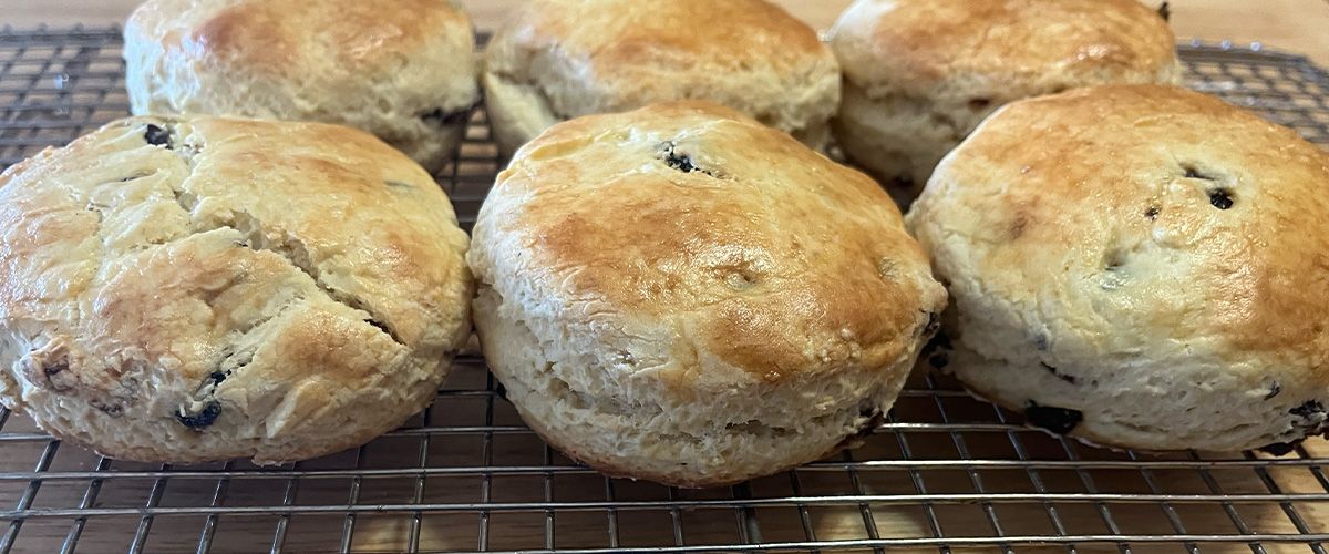 Two rows, three each of golden brown scones with raisins sitting on a cooling rack